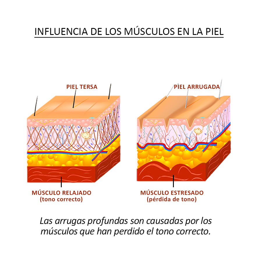 1 compress size Stella Estética Avanzada Centro de Estética